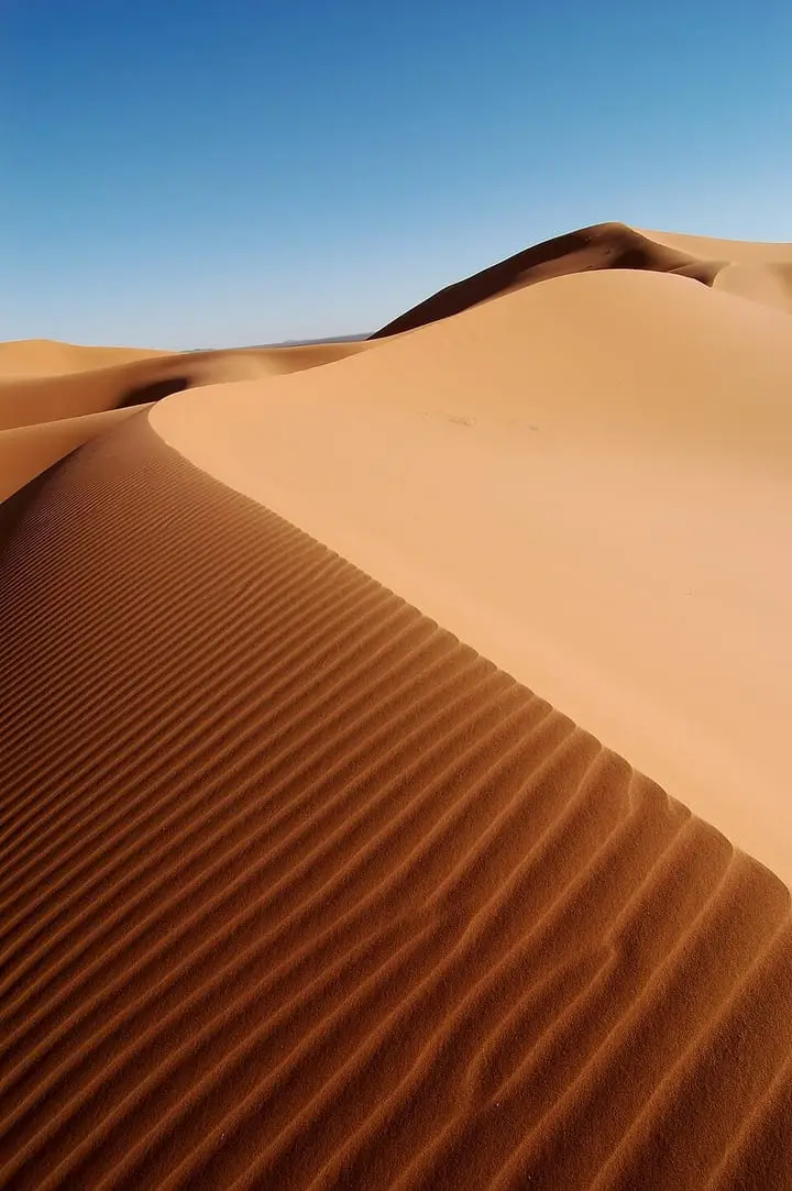 Photographie : dunes de sable, désert vide