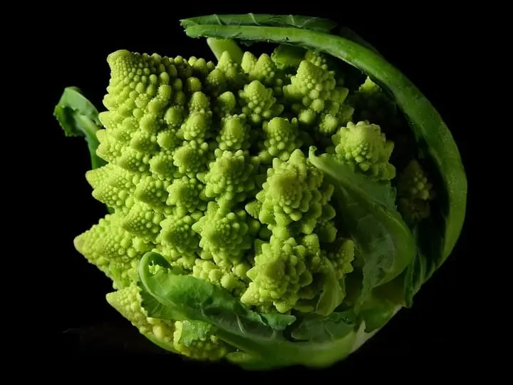 Photographie : chou romanesco en gros plan